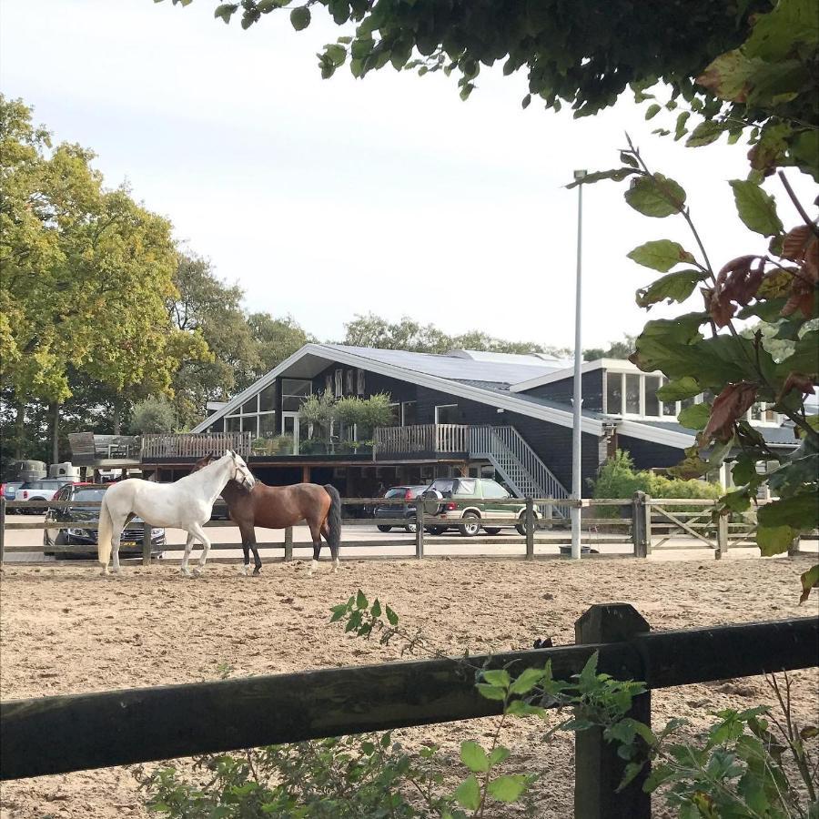 Loft 55, Penthouse Aan De Schoorlse Duinen Bed & Breakfast Bagian luar foto